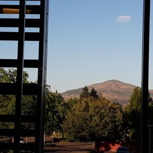 Meet your Posher, Martha